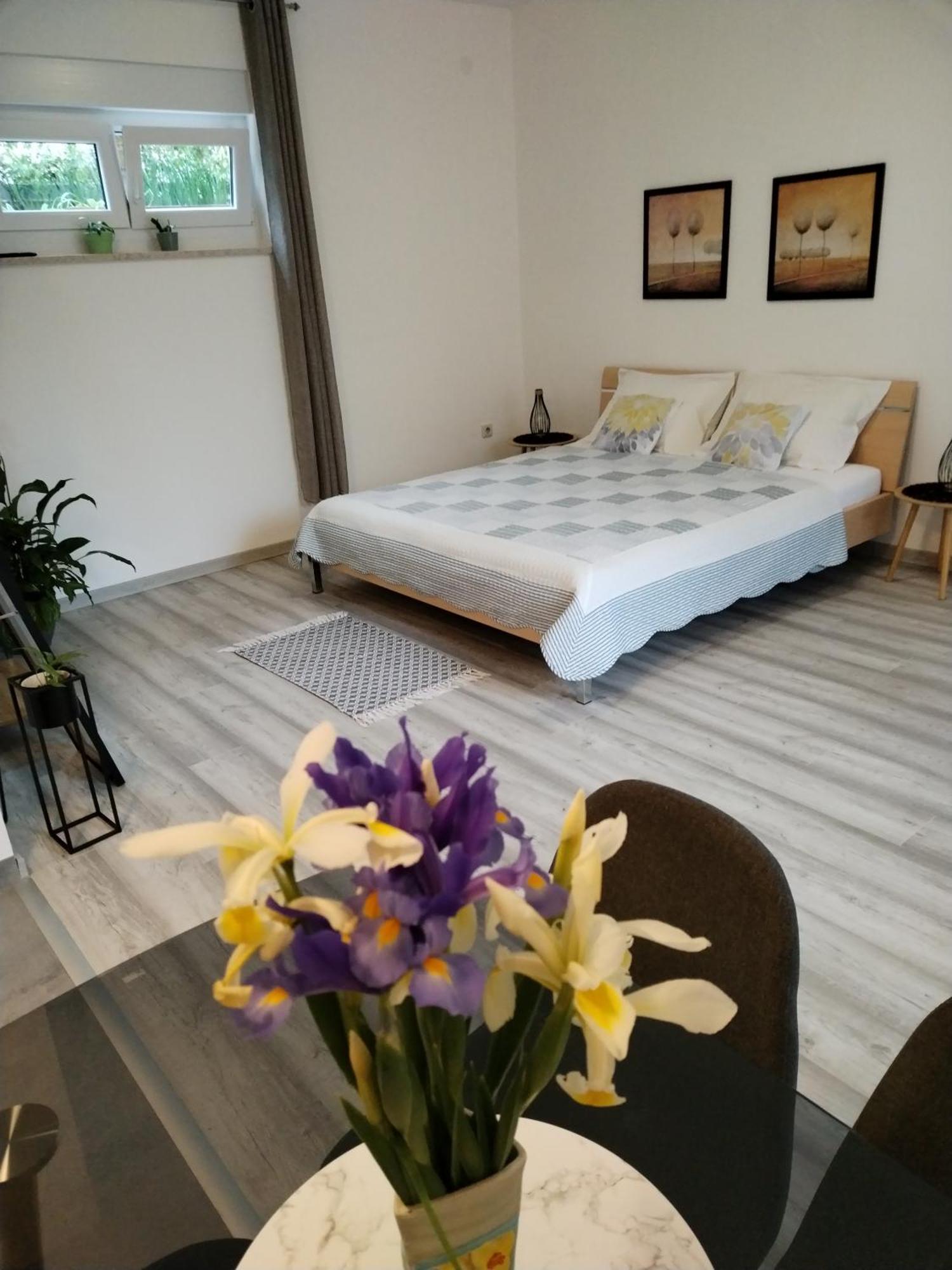 Apartments Mirijana Pula Dış mekan fotoğraf